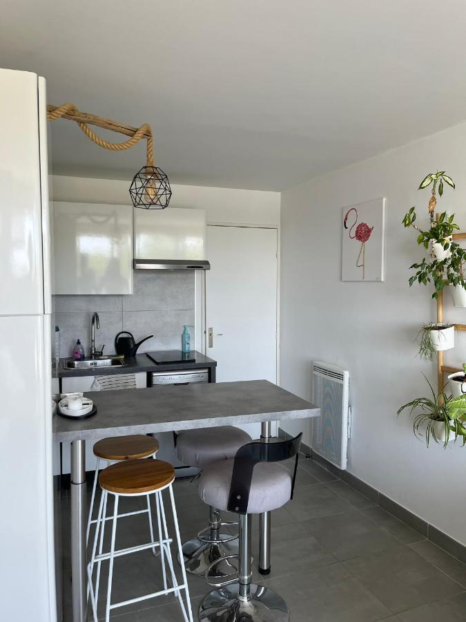 Studio Port Camargues لو غراو دو روا المظهر الخارجي الصورة